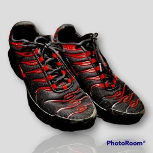 Nike air max plus (bred)